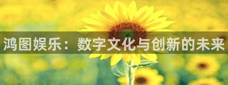 庄闲和游戏官网：鸿图娱乐：数字文化与创新的未来