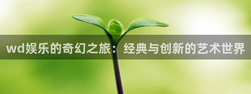 庄闲和游戏官网：wd娱乐的奇幻之旅：经典与创新的艺术世界