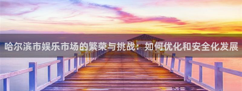 庄闲和游戏官网：哈尔滨市娱乐市场的繁荣与挑战：如何优化和安全化发展