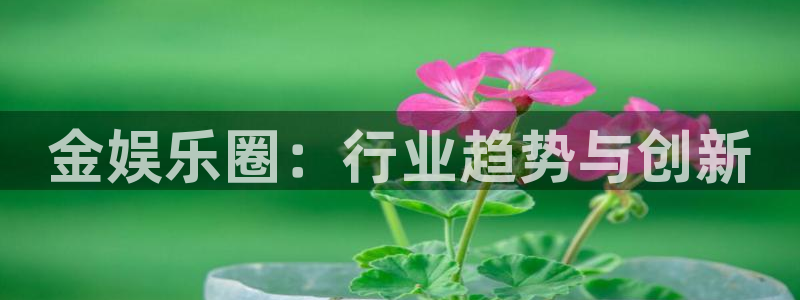 庄闲和游戏官网：金娱乐圈：行业趋势与创新